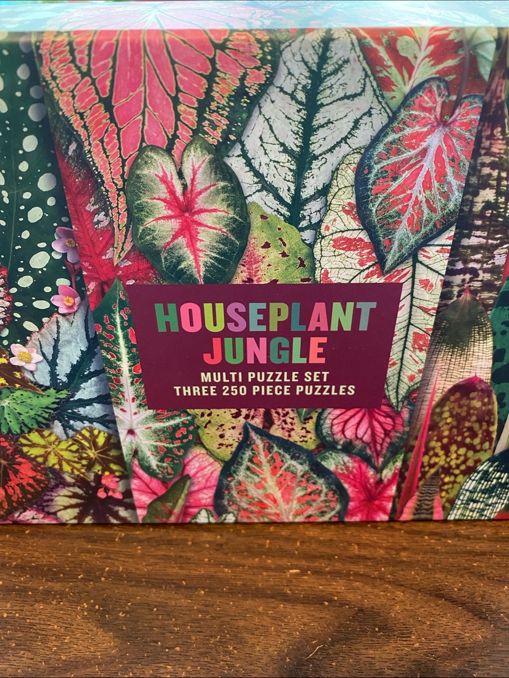 Houseplant Jungle Multi Puzzle Set - Vibrant Pink & Green